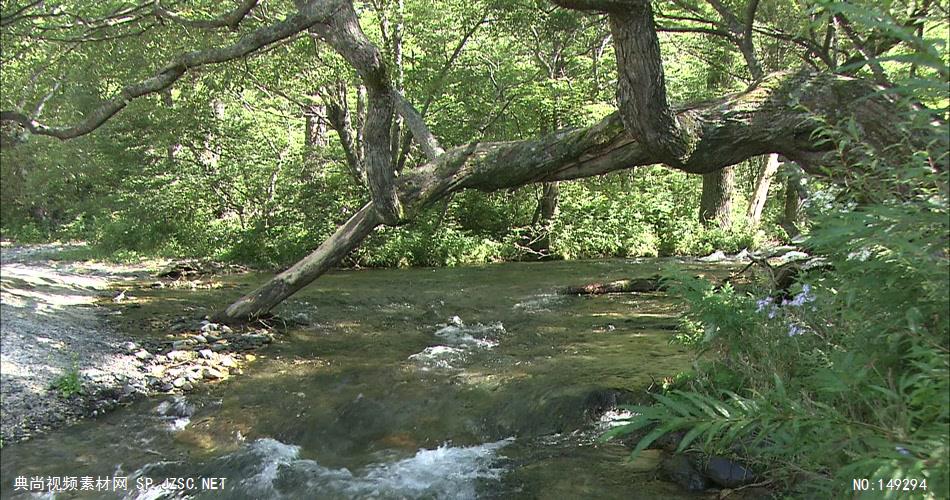 急流与河流组急流与河流山间小溪