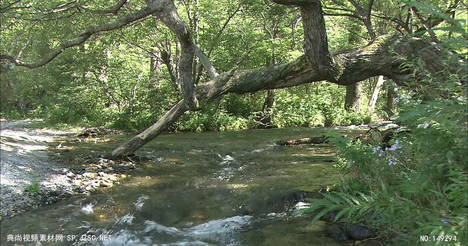 急流与河流组急流与河流山间小溪