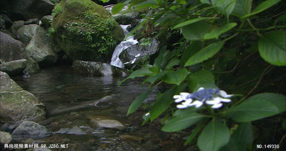 急流与河流高山流水.mp4