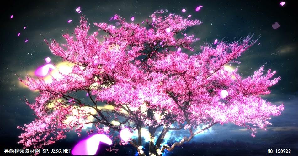 A024-唯美夜色中的流光樱花树