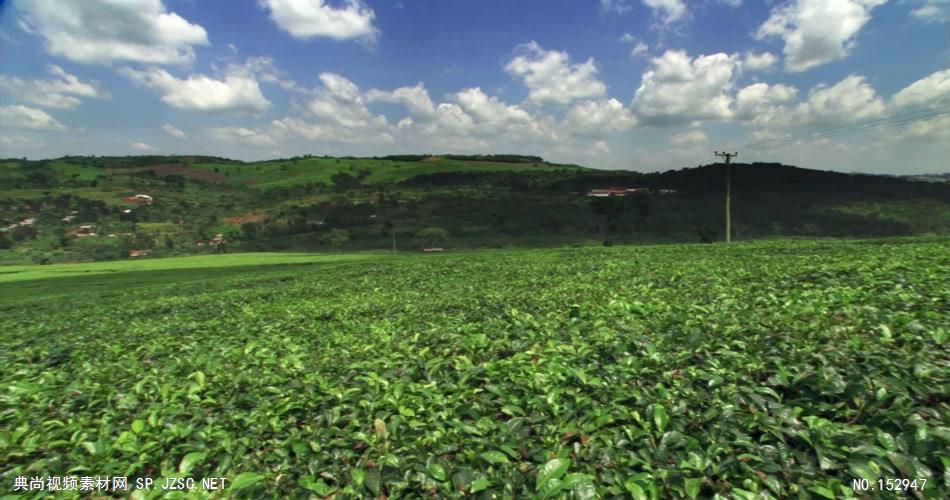 实拍航拍风景1航拍 鸟瞰 城市 高空实拍 视频