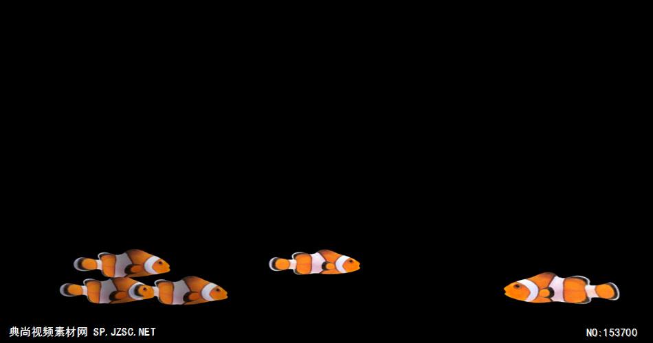 海底世界小鱼游动遮罩素材Клоуны-поворот大海 海边 海洋