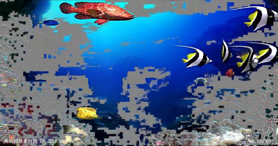 海底世界 鱼海底海浪深海 视频动态背景 虚拟背景视频