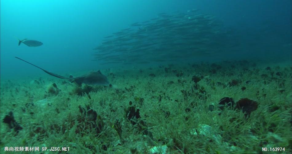 海底海浪深海斑斓海底2 led视频背景 视频素材动态背景