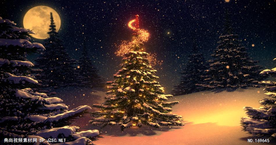 -圣诞节系列款Y3251月亮唯美闪亮梦幻粒子圣诞树 led视频素材库