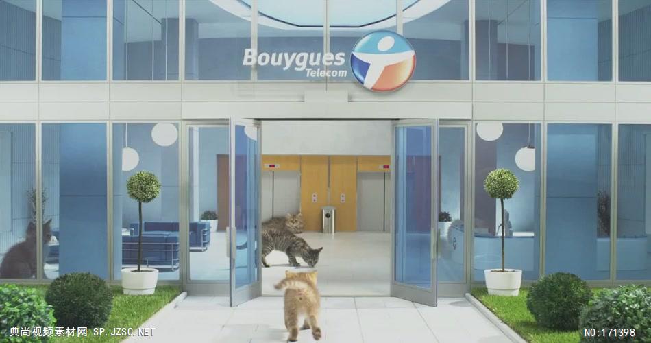 Bouygues Telecom电信公司广告猫咪篇.720p 欧美高清广告视频