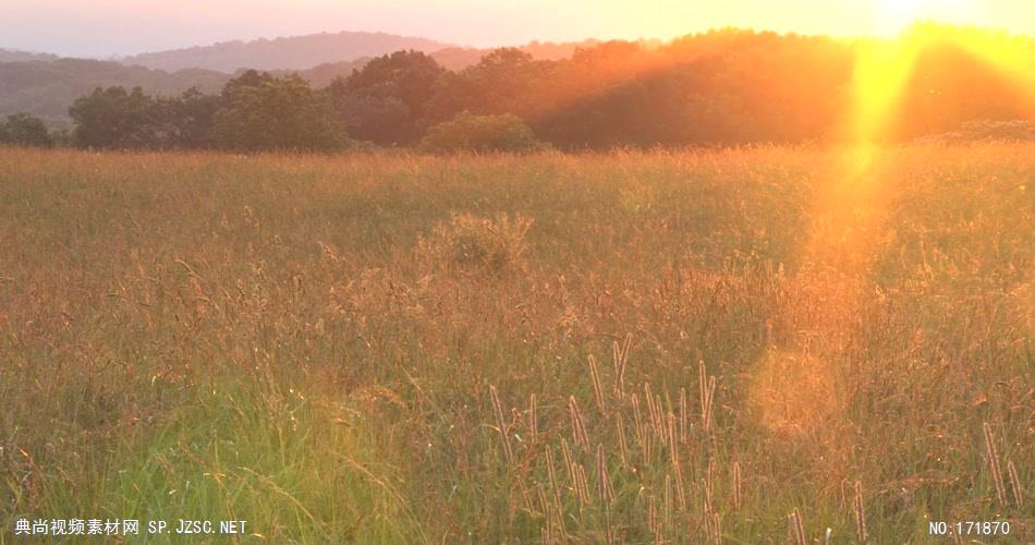 夏日的夕阳 Summer Sunset 高清视频全集_batchStoc Video高清视频素材下载 led视频背景 led下载