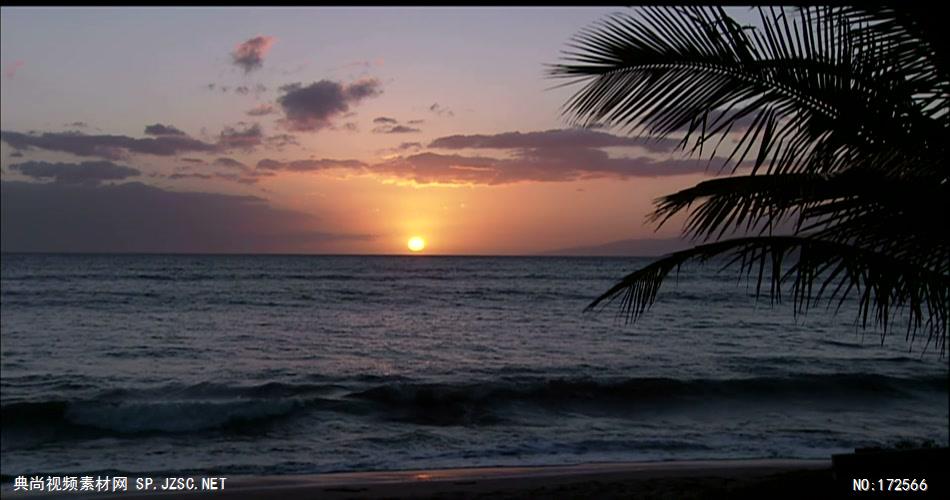 沙滩椰树 款A19136夕阳海边椰树无音乐_batch led视频背景下载