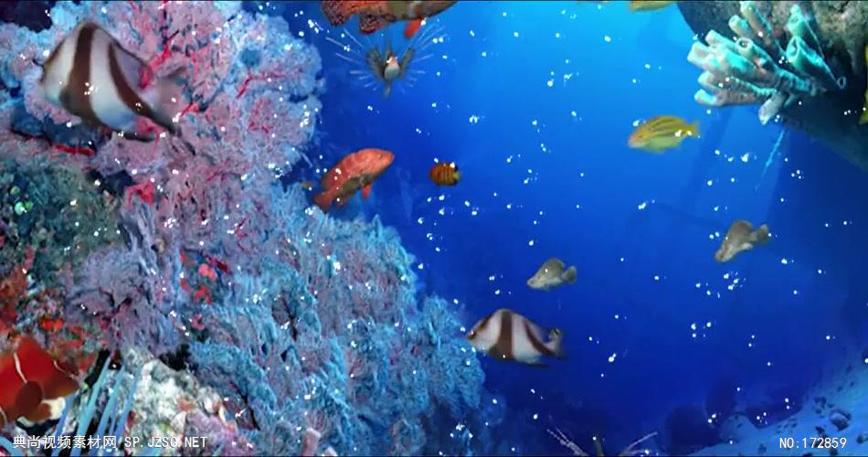 -海底鱼群水母婚礼套----海底鱼海底鱼群水母婚礼水底海洋大海_batch led视频背景下载