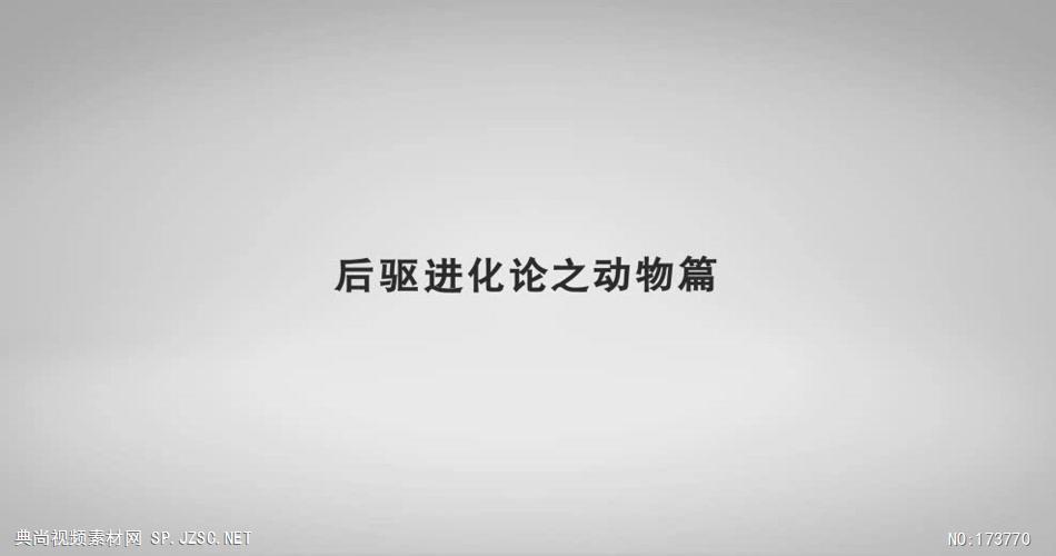 宝马后驱进化论宣传片高清中国企业事业宣传片公司单位宣传片