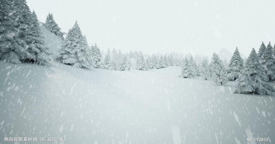 下雪的圣诞树森林下雪的圣诞树森林下雪的圣诞树森林_batch 视频素材下载