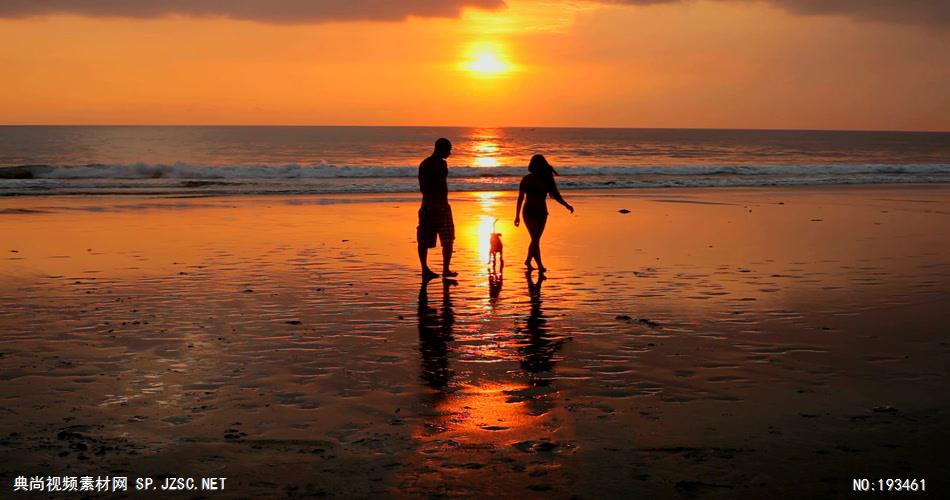 在夕阳下遛狗玩耍的恋人素材         coupleplayingonbeachwithdogatsunsetinbali 视频素材下载