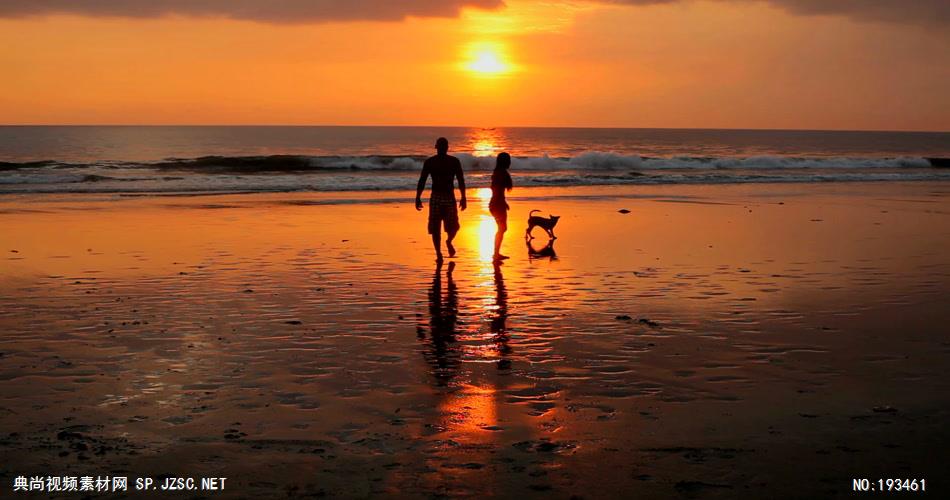 在夕阳下遛狗玩耍的恋人素材         coupleplayingonbeachwithdogatsunsetinbali 视频素材下载