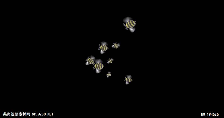 纸质装饰元素  (   )BeesFlying 视频素材下载