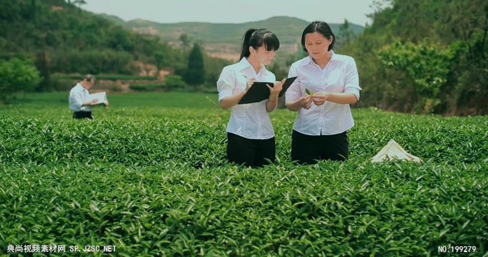 坪山名茶企业宣传片1080P高清中国企业事业宣传片公司单位宣传片