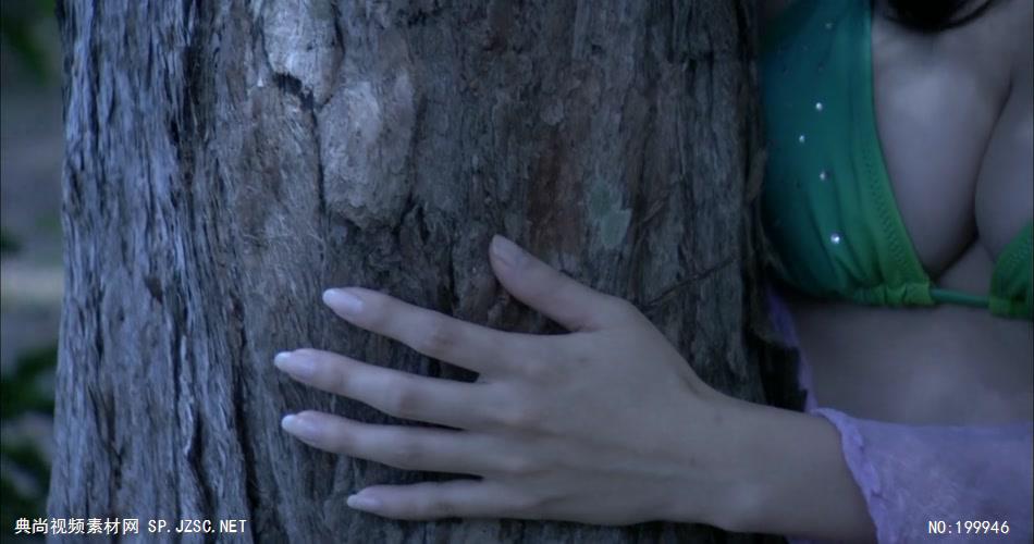 森林之美天使B-丛林写真_batch中国高清实拍素材宣传片