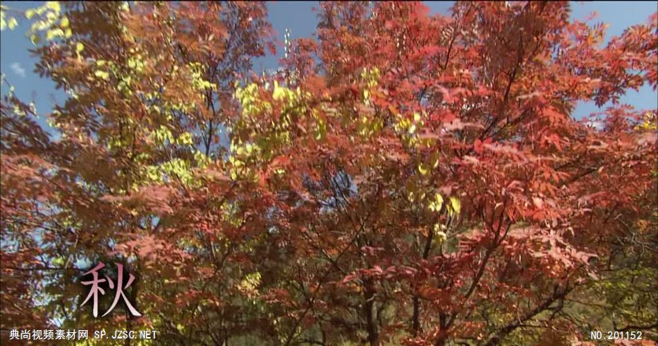 秋天红叶中国名胜风景标志性景点高清视频素材