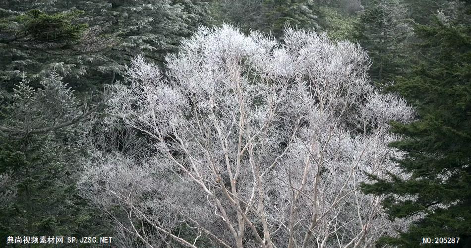 ［4K］ 高原秋色 4K片源 超高清实拍视频素材 自然风景山水花草树木瀑布超清素材