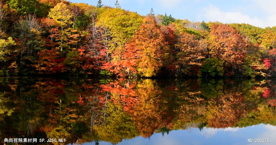 ［4K］ 红叶静湖3 4K片源 超高清实拍视频素材 自然风景山水花草树木瀑布超清素材