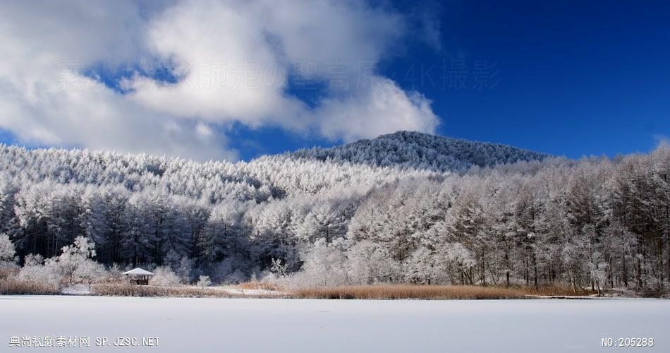 ［4K］ 高原雪景1 4K片源 超高清实拍视频素材 自然风景山水花草树木瀑布超清素材