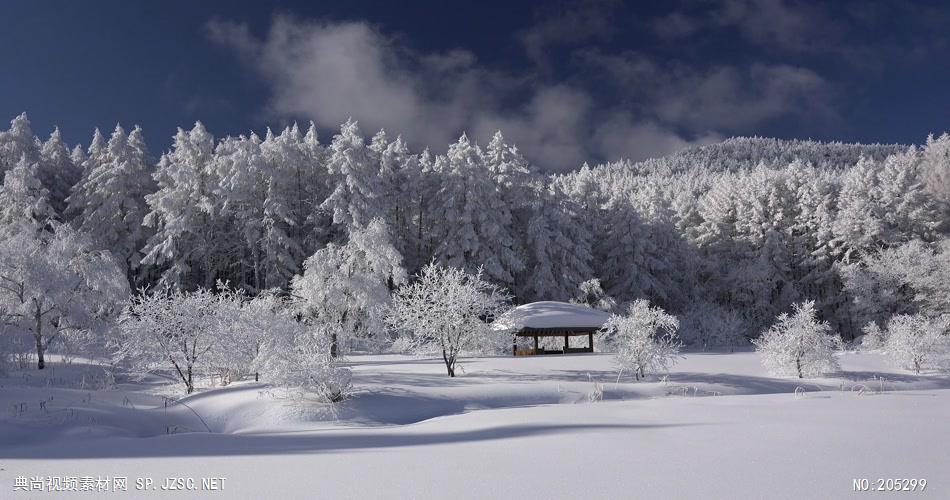 ［4K］ 冬季高原雪景 4K片源 超高清实拍视频素材 自然风景山水花草树木瀑布超清素材