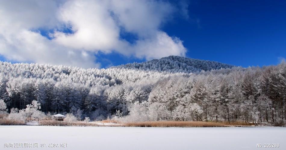 ［4K］ 高原雪景1 4K片源 超高清实拍视频素材 自然风景山水花草树木瀑布超清素材