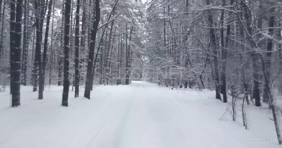 冬天冬景雪地大雪4K视频素材