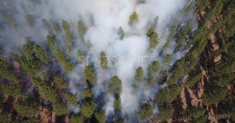 森林大火航拍森林火灾视频素材