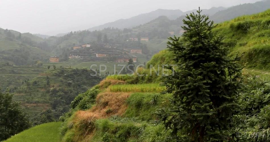 广西 隆基 水稻 梯田 旅游 风光 古村落 人文