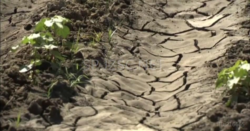 龟裂土地旱灾节约用水保护水源视频素材