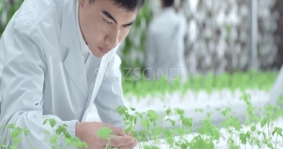 农业水稻玉米种植收割机械化研究调研农耕劳作干农活实验室