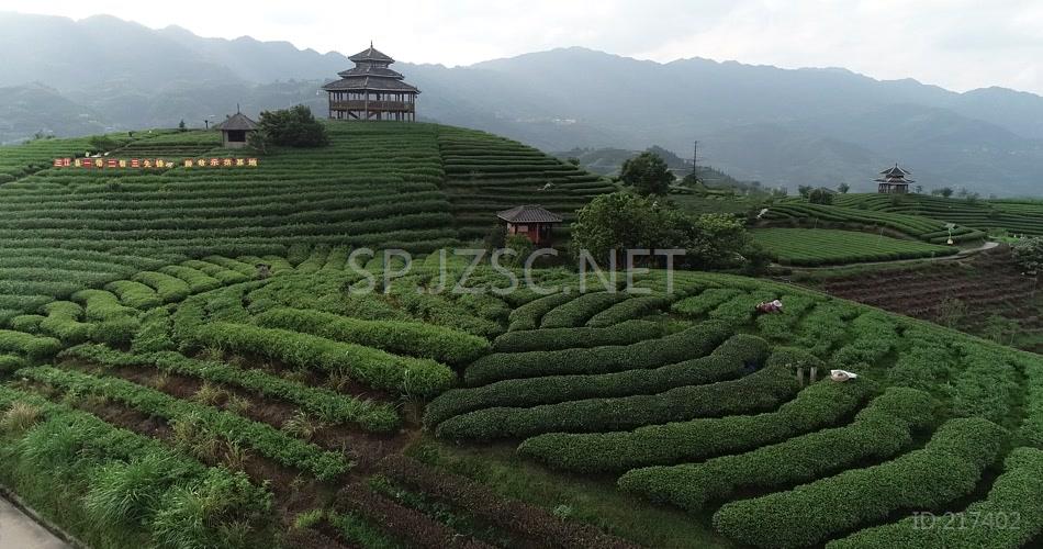 山顶茶园山庄环绕航拍视频视频