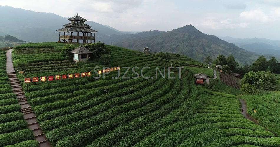 山顶茶园山庄环绕航拍视频视频