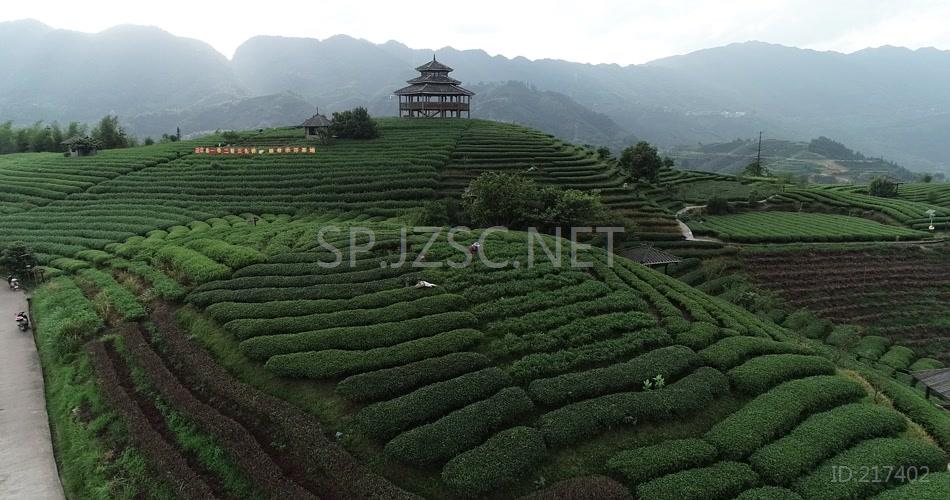 山顶茶园山庄环绕航拍视频视频